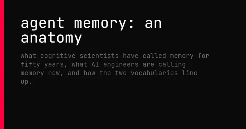 Agent Memory: An Anatomy